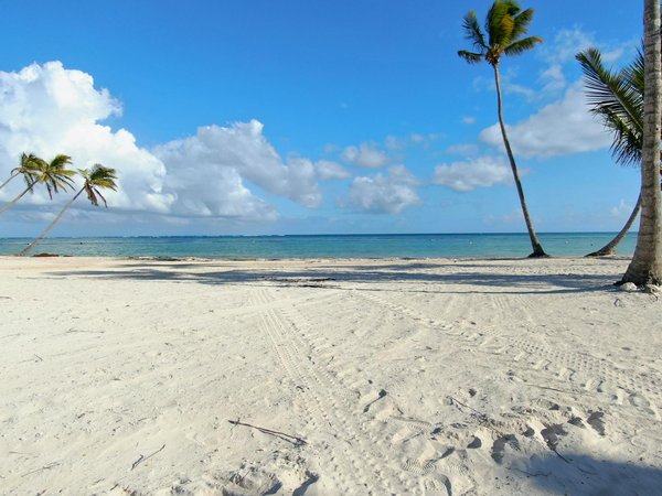 Quels sont les meilleurs spots pour faire du kitesurf à Zanzibar, Tanzanie?