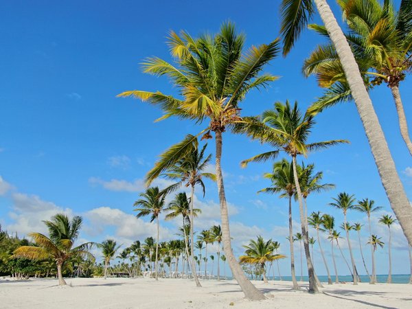 Quelles sont les meilleures pratiques pour camper dans un environnement de toundra en hiver?